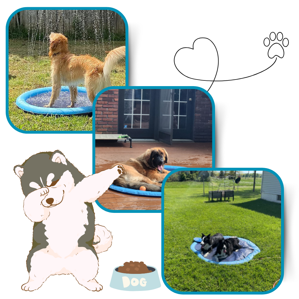 Piscina portátil para perros
- Ozerty