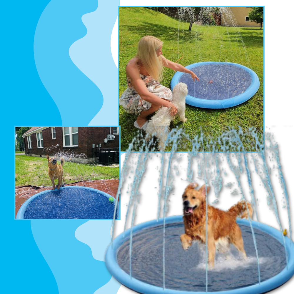 Piscina portátil para perros
- Ozerty
