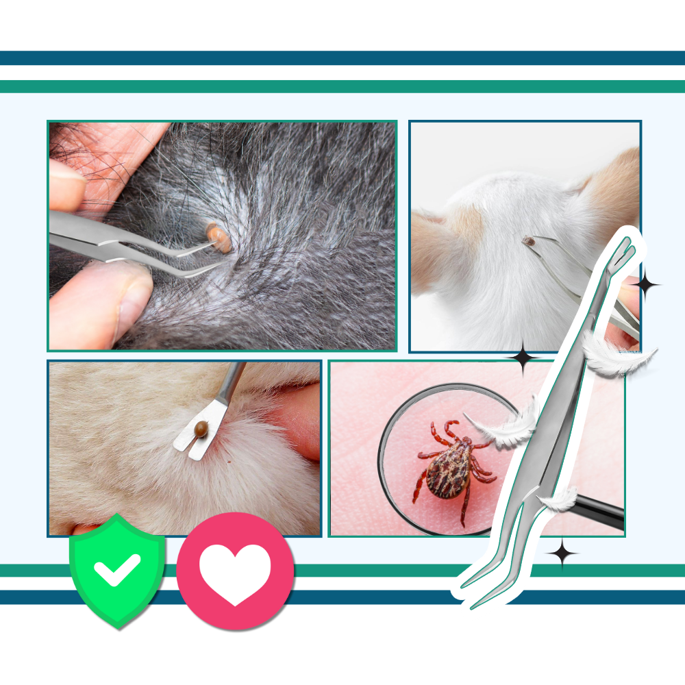 Extractor de garrapatas - Ozerty