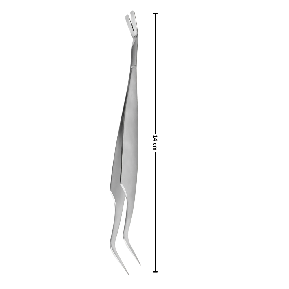 Extractor de garrapatas - Ozerty