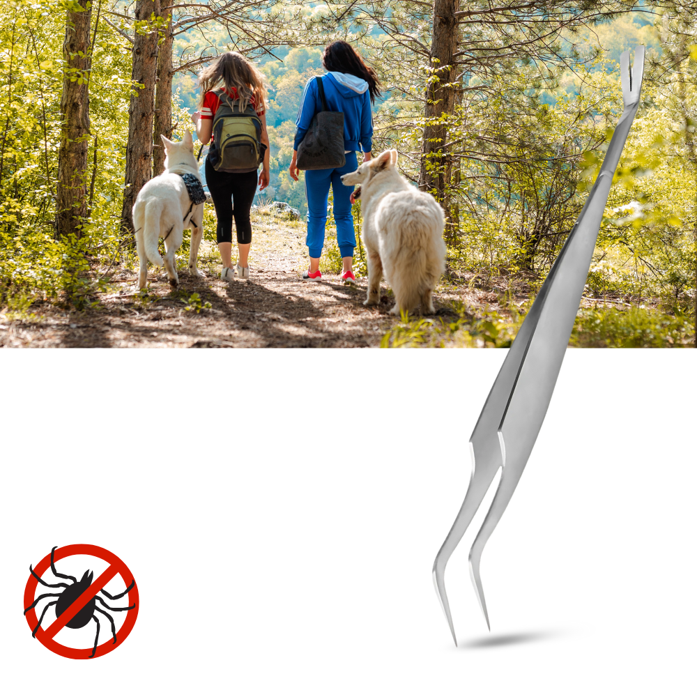 Extractor de garrapatas - Ozerty