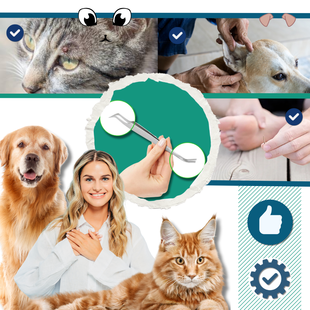 Extractor de garrapatas - Ozerty