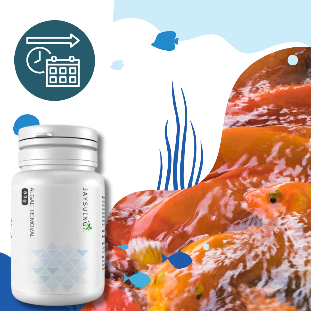 Alguicida preventivo para acuarios - Ozerty