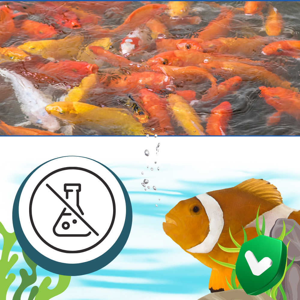 Alguicida preventivo para acuarios - Ozerty