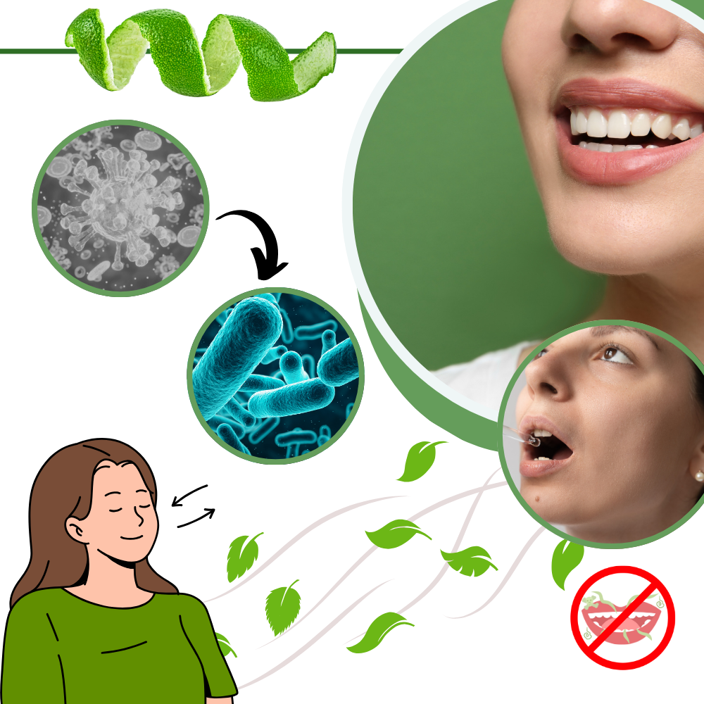 Enjuague bucal sabor menta - Ozerty