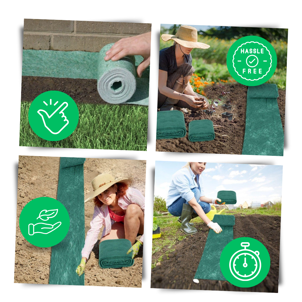 Alfombrilla de semillas de hierba con rápida fijación
- Ozerty