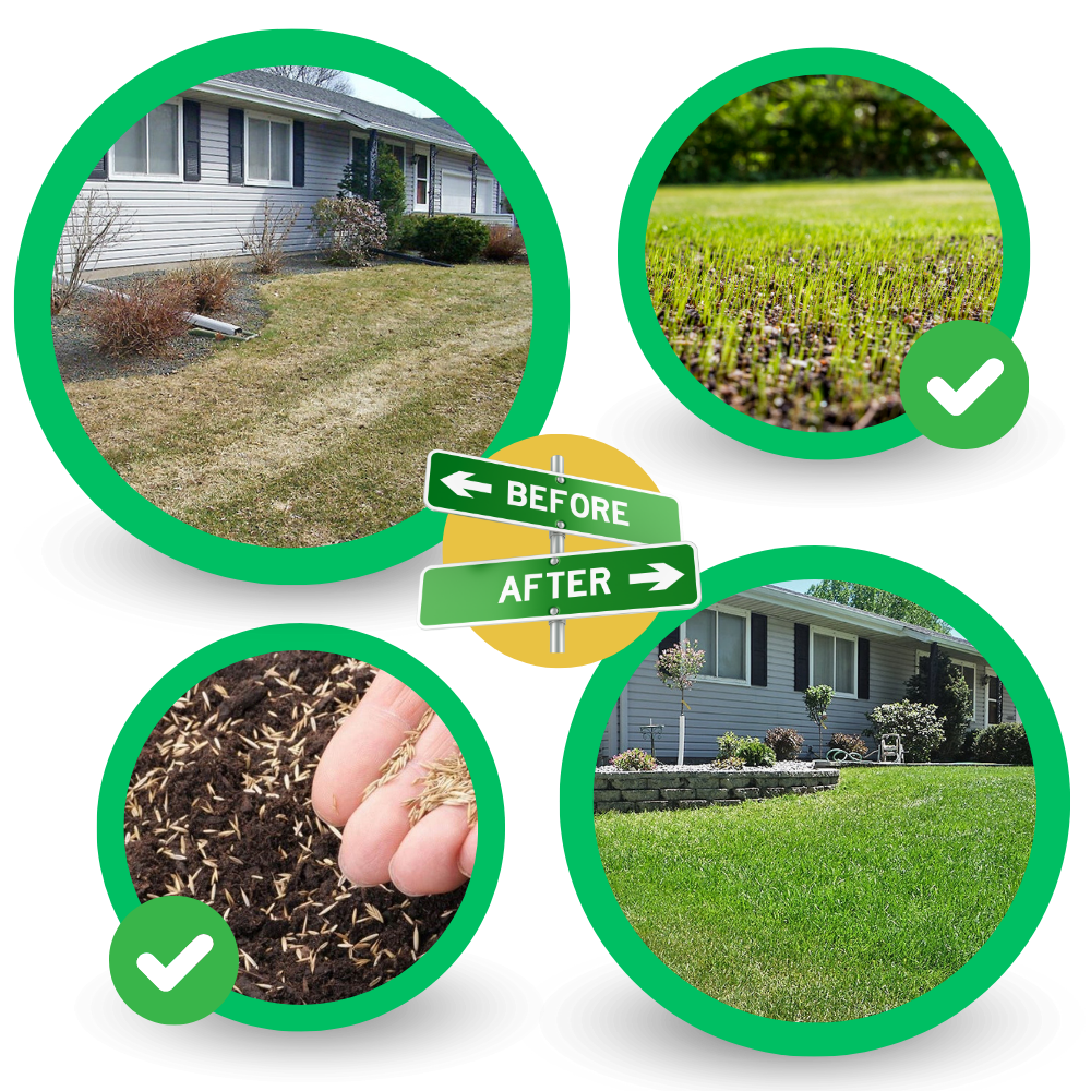 Alfombrilla de semillas de hierba con rápida fijación
- Ozerty