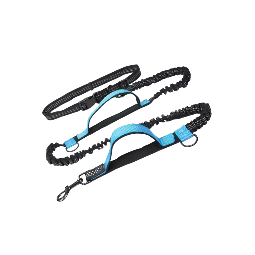 Correa de seguridad ergonómica para perros -Azul - Ozerty