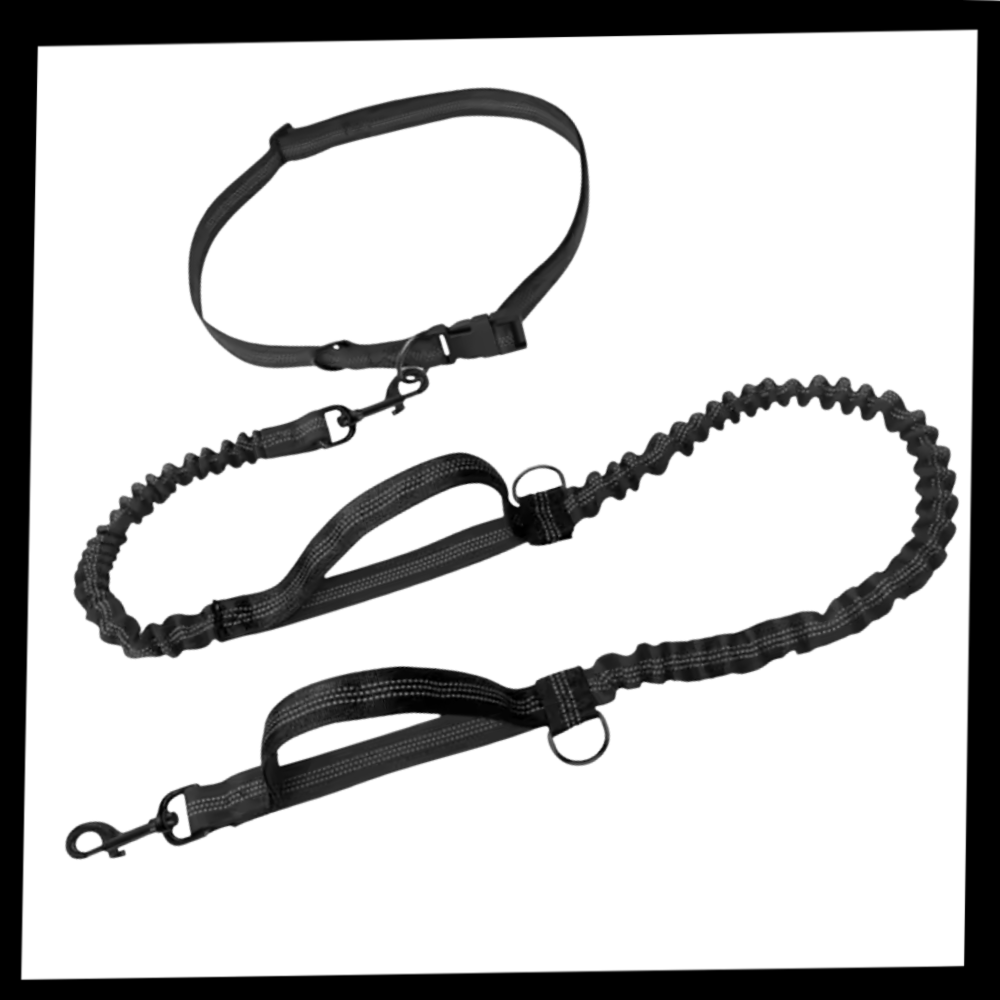 Correa de seguridad ergonómica para perros - Ozerty