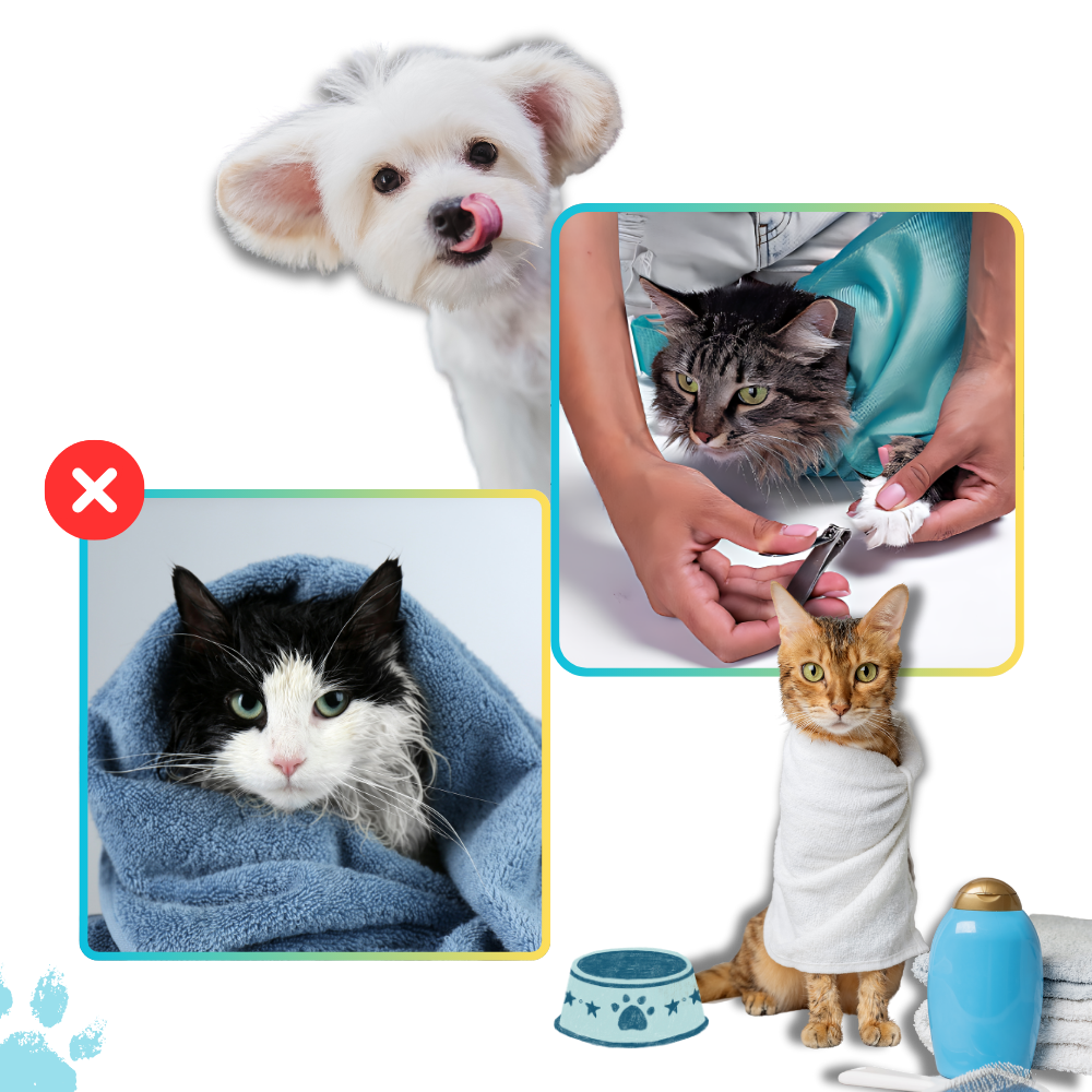 Bolsa de viaje para gatos
- Ozerty