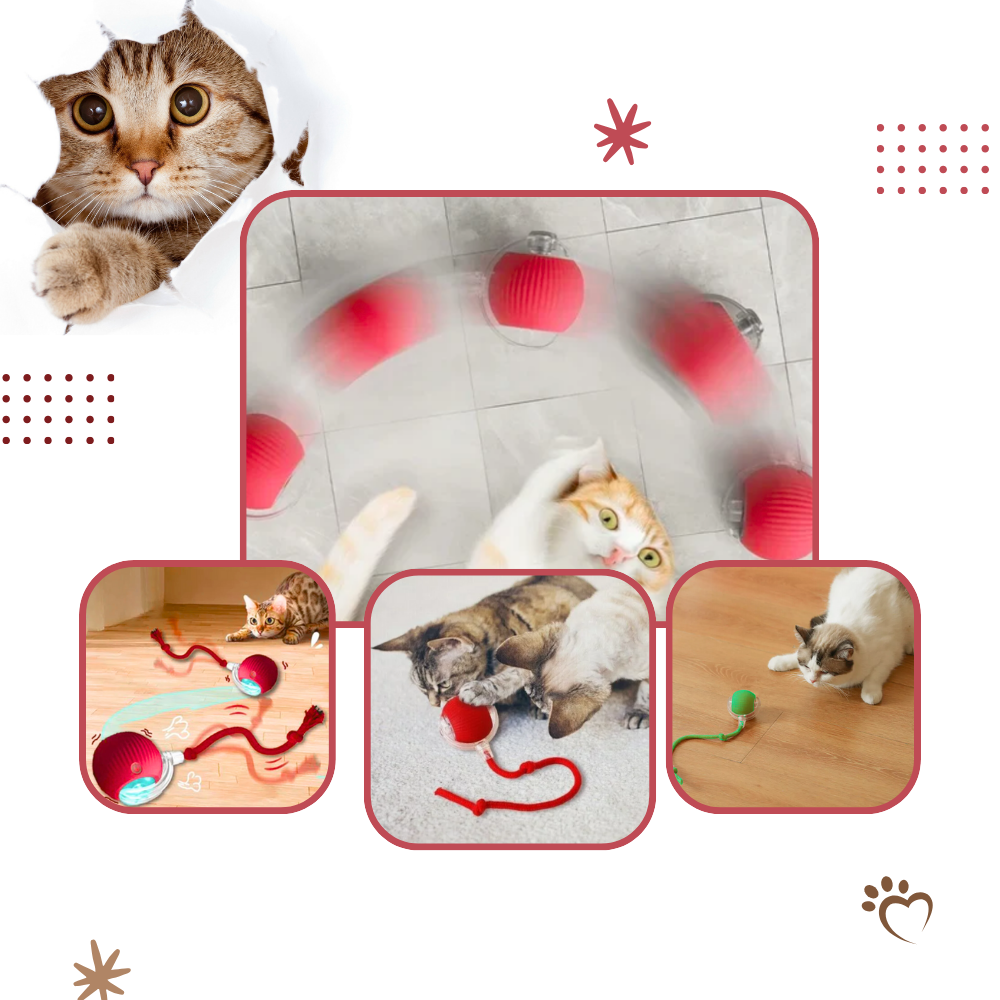 Pelota de juguete inteligente para gatos - Ozerty
