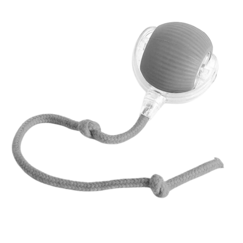 Pelota de juguete inteligente para gatos -Gris - Ozerty