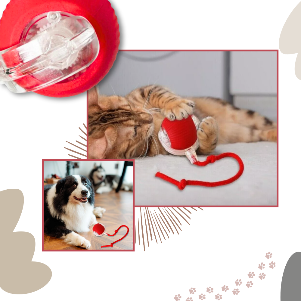 Pelota de juguete inteligente para gatos - Ozerty