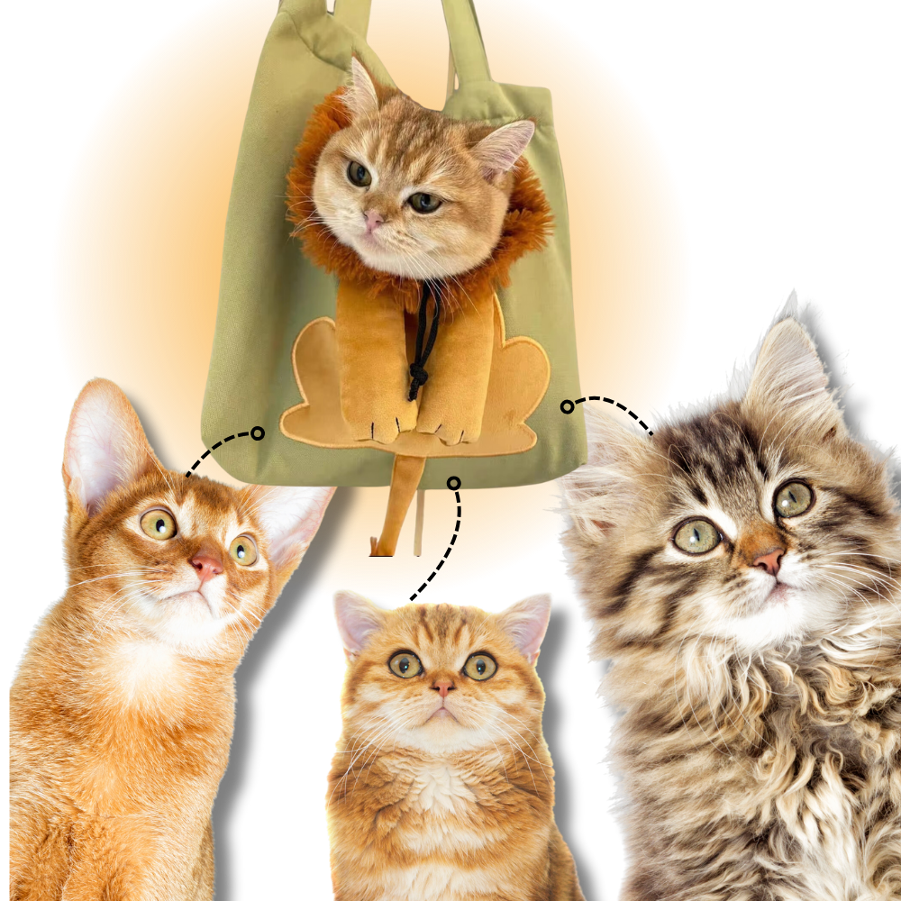 Bolsa transportín transpirable para gatos - Ozerty