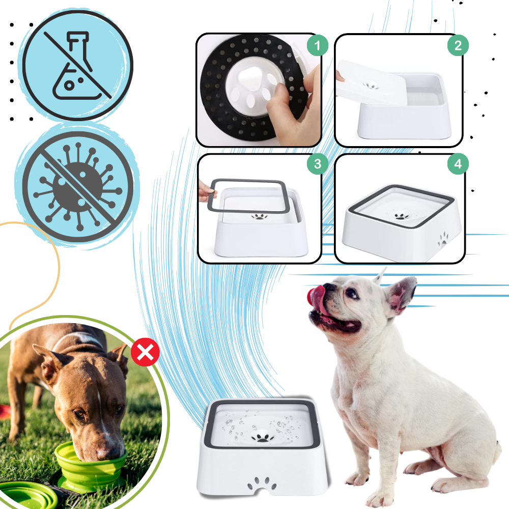 Bebedero anti salpicaduras para perros - Ozerty