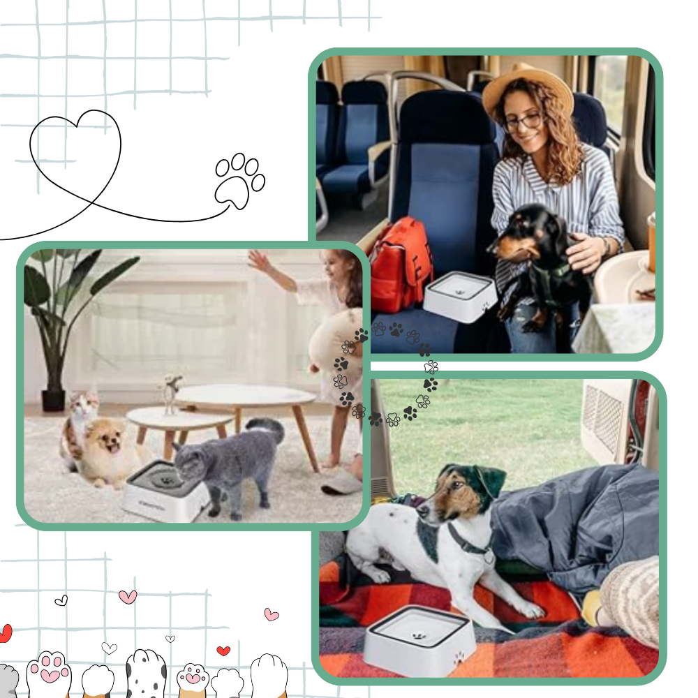 Bebedero anti salpicaduras para perros - Ozerty