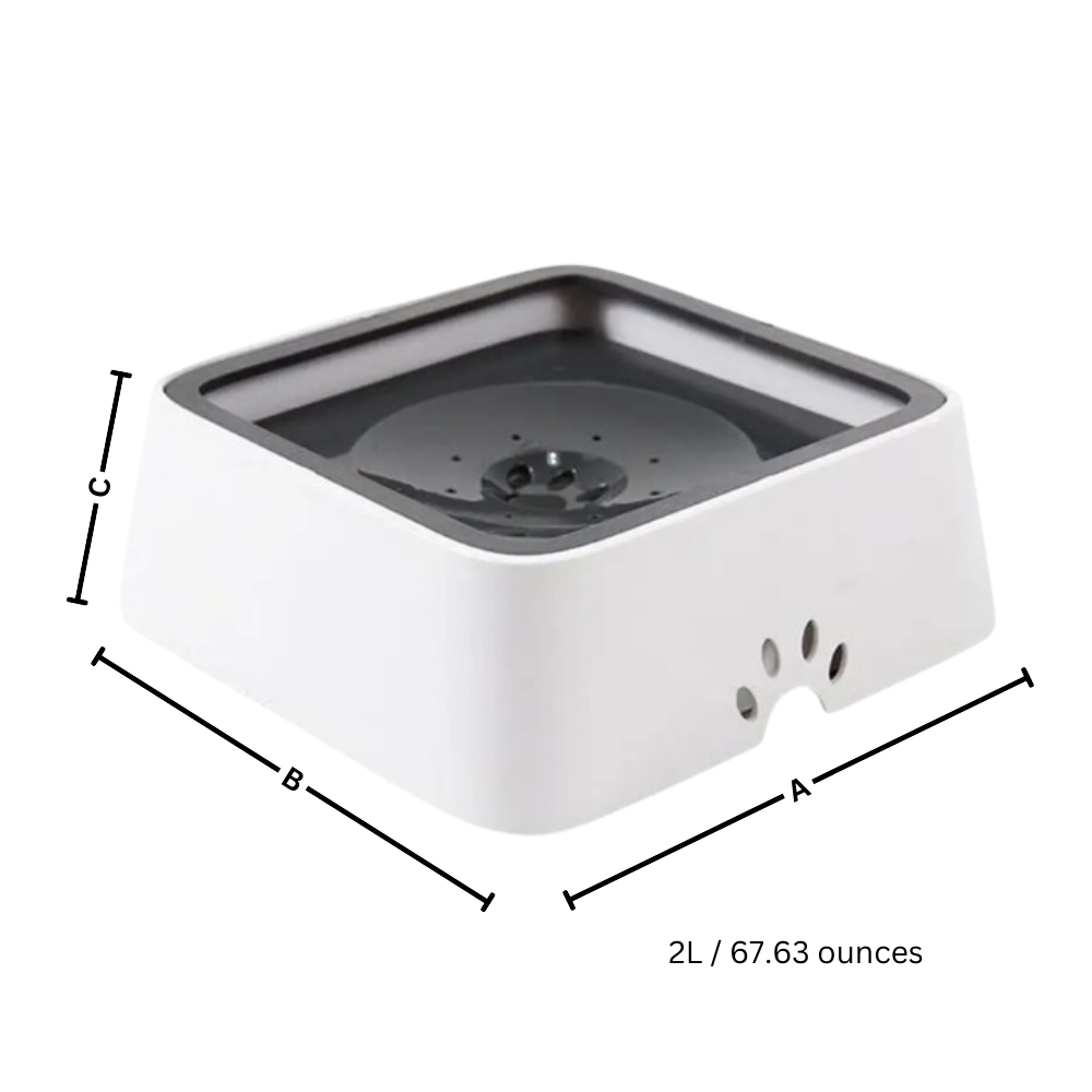 Bebedero anti salpicaduras para perros - Ozerty