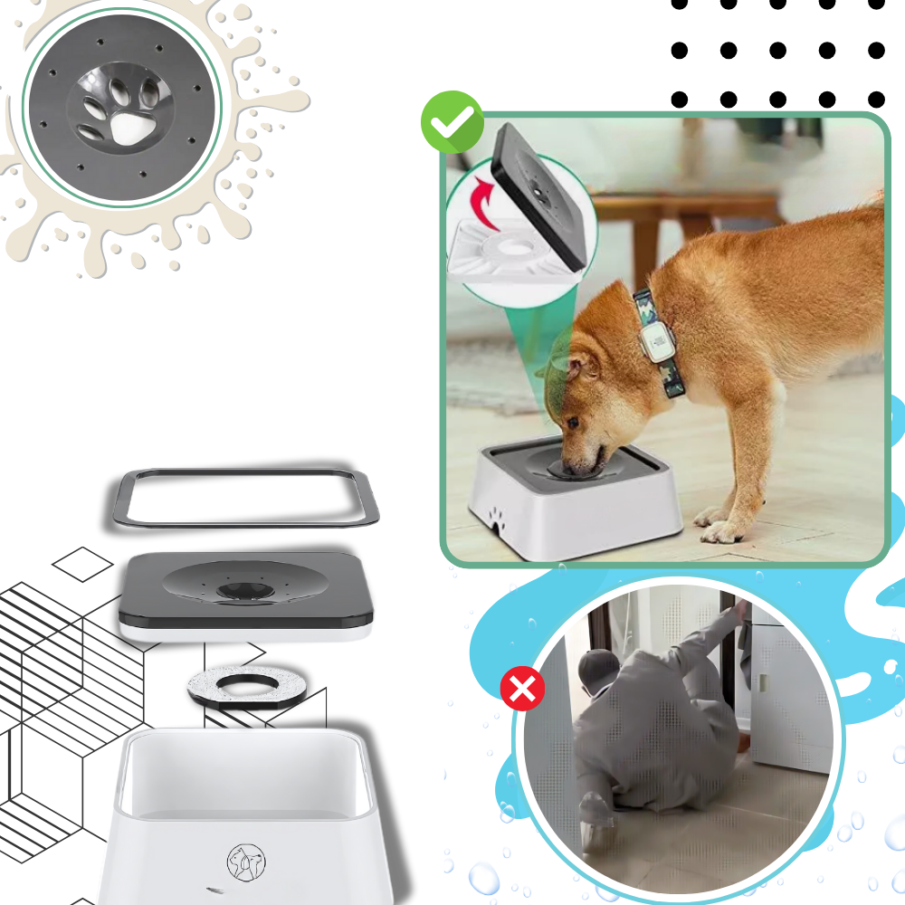 Bebedero anti salpicaduras para perros - Ozerty