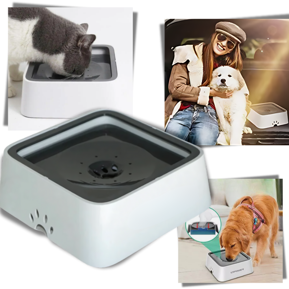 Bebedero anti salpicaduras para perros - Ozerty