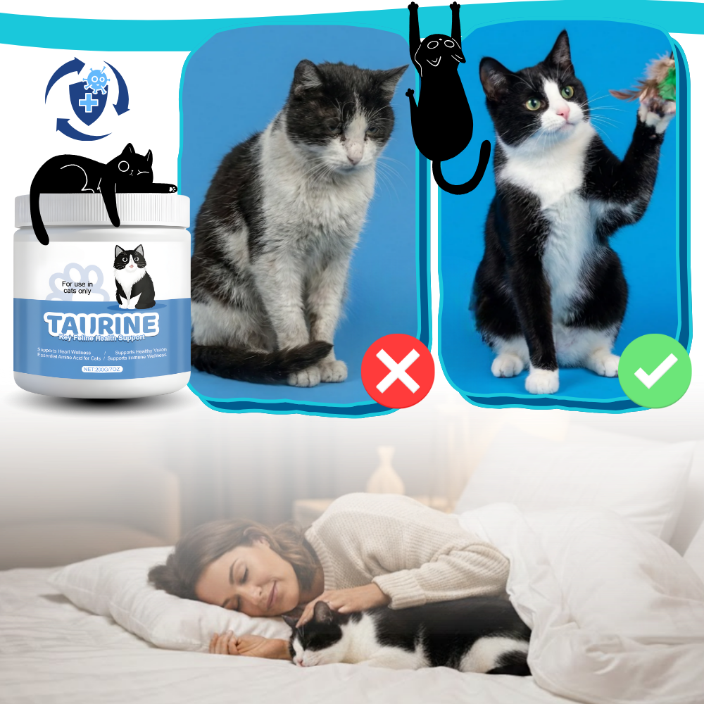 Suplemento para gatos con taurina - Ozerty