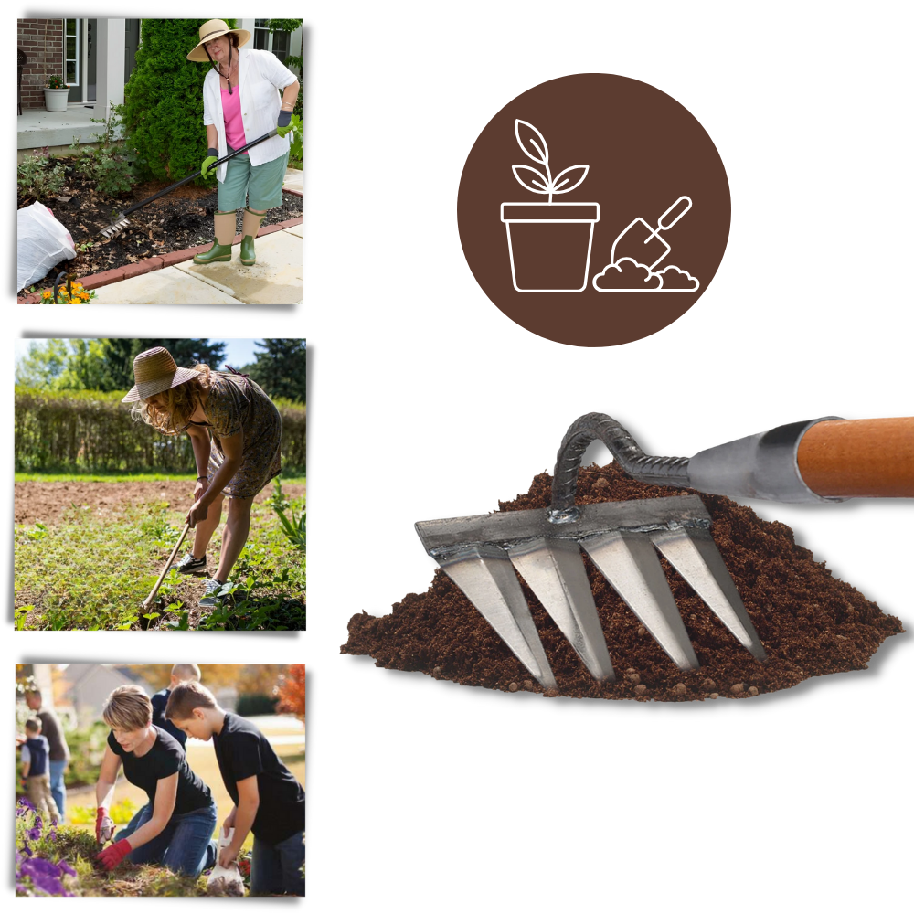 Rastrillo de césped
- Ozerty