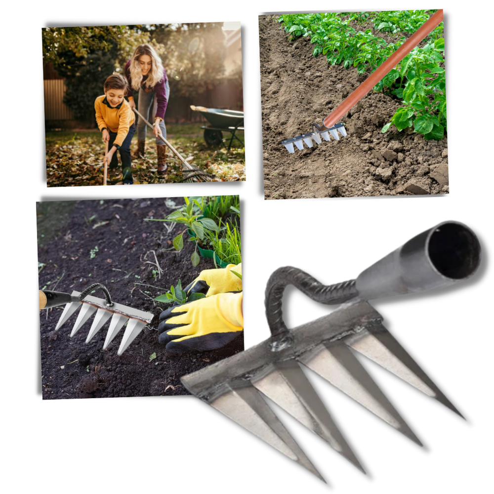 Rastrillo de césped
- Ozerty