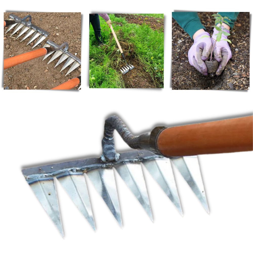 Rastrillo de césped
- Ozerty