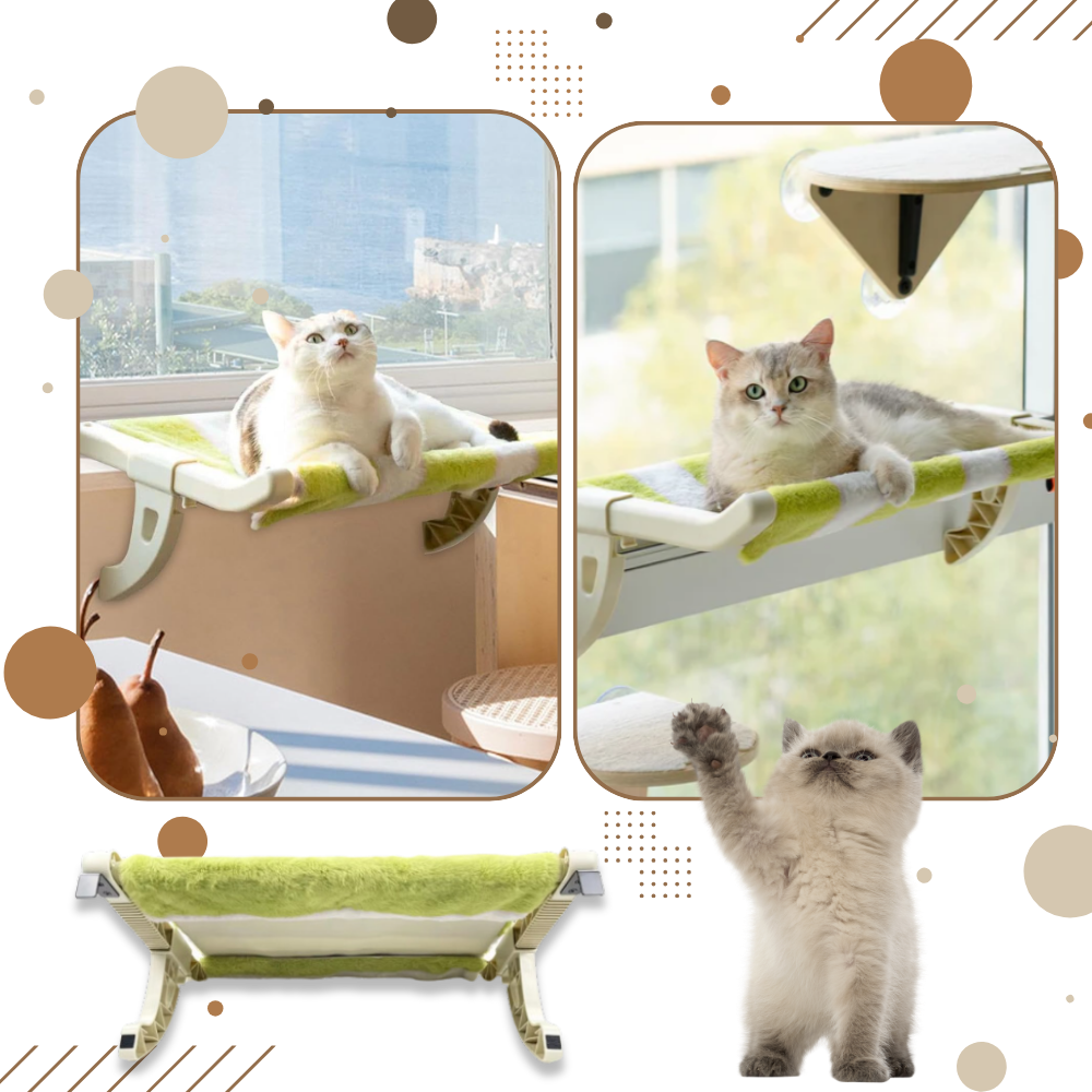 Cama para gatos adherente a ventanas sin herramientas - Ozerty