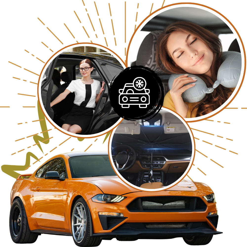 Parasol interior para parabrisas con protección UV
- Ozerty