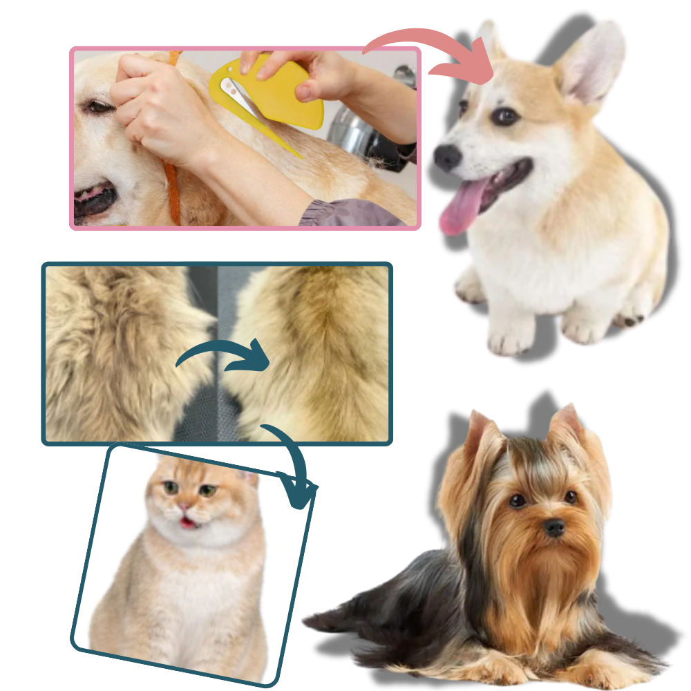 Peine desenredante para mascotas
- Ozerty