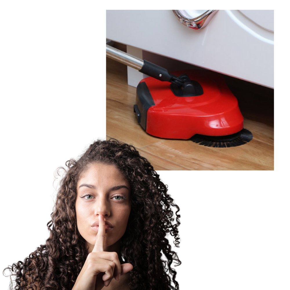 Aspirador con mango telescópico - Ozerty