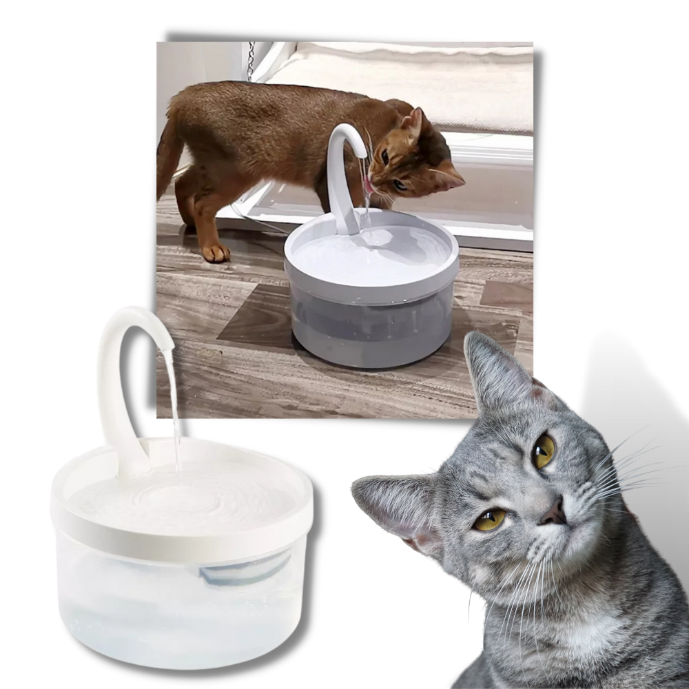Fuente de agua automática para gato con luz led - Ozerty