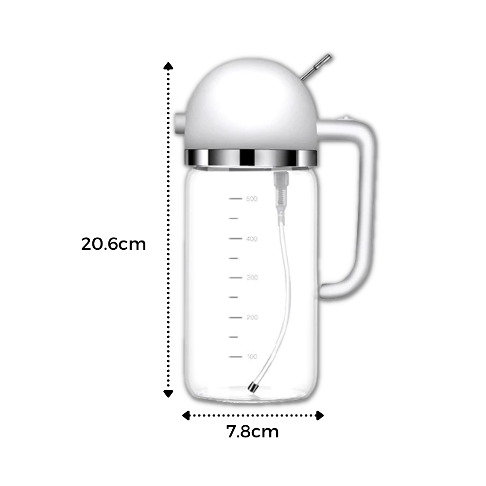 Botella dispensadora de aceite spray & pour - Ozerty