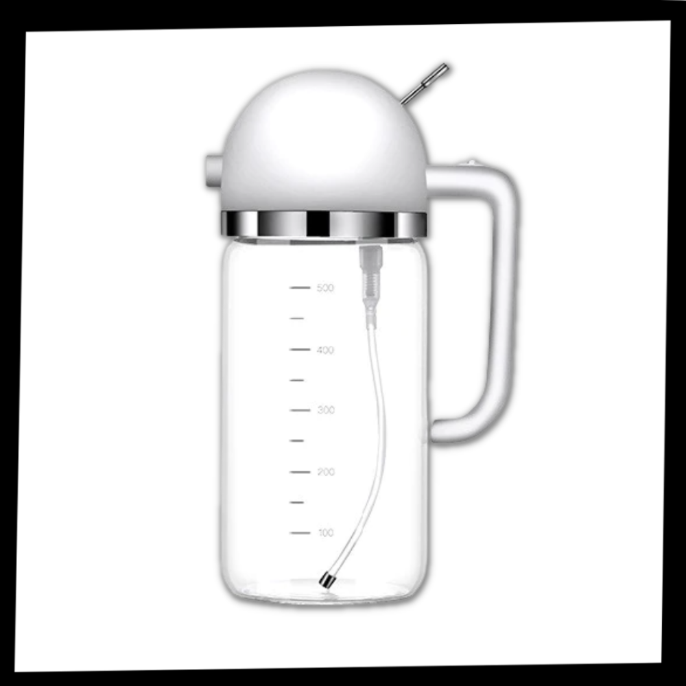 Botella dispensadora de aceite spray & pour - Ozerty
