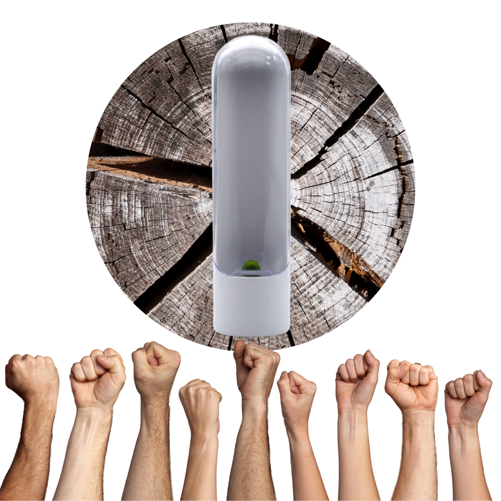 Recipiente para la conservación de hierbas frescas - Ozerty