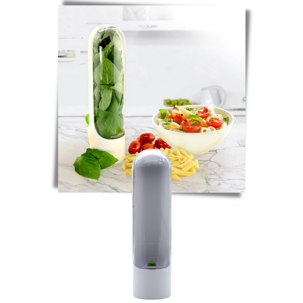 Recipiente para la conservación de hierbas frescas - Ozerty