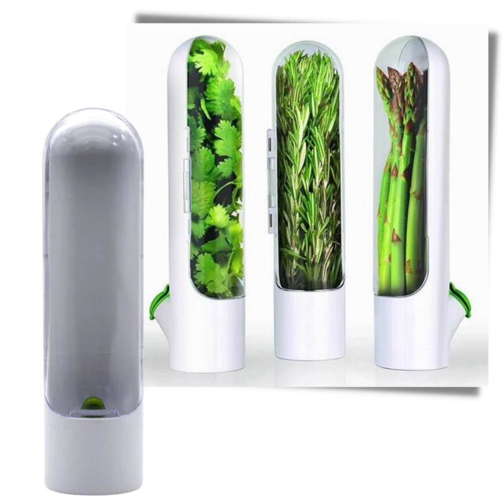 Recipiente para la conservación de hierbas frescas - Ozerty