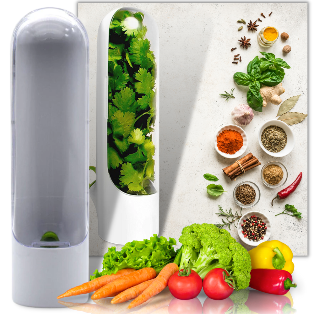 Recipiente para la conservación de hierbas frescas - Ozerty