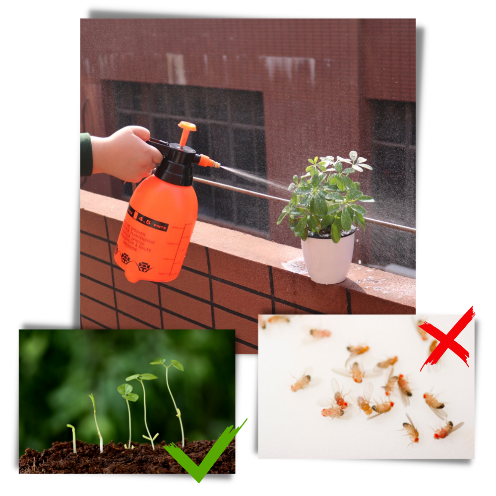 Pulverizador de jardín con bomba - Ozerty