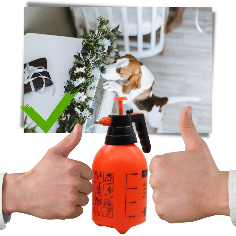 Pulverizador de jardín con bomba - Ozerty