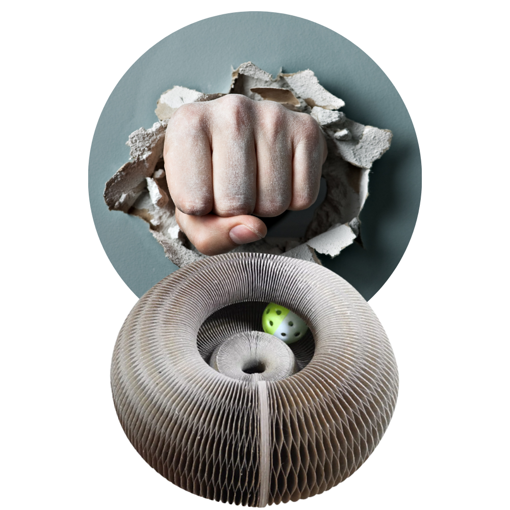 Tablero de rascado para gatos - Ozerty