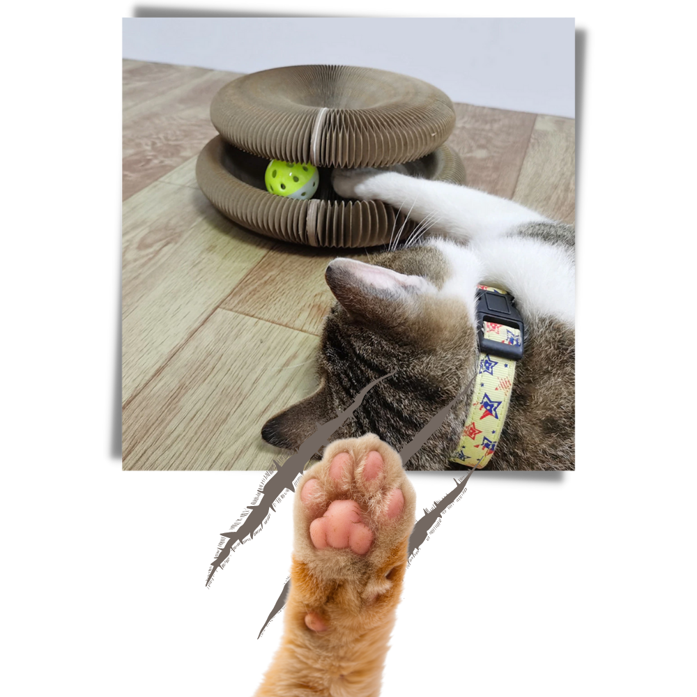 Tablero de rascado para gatos - Ozerty