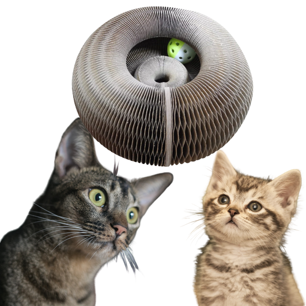 Tablero de rascado para gatos - Ozerty