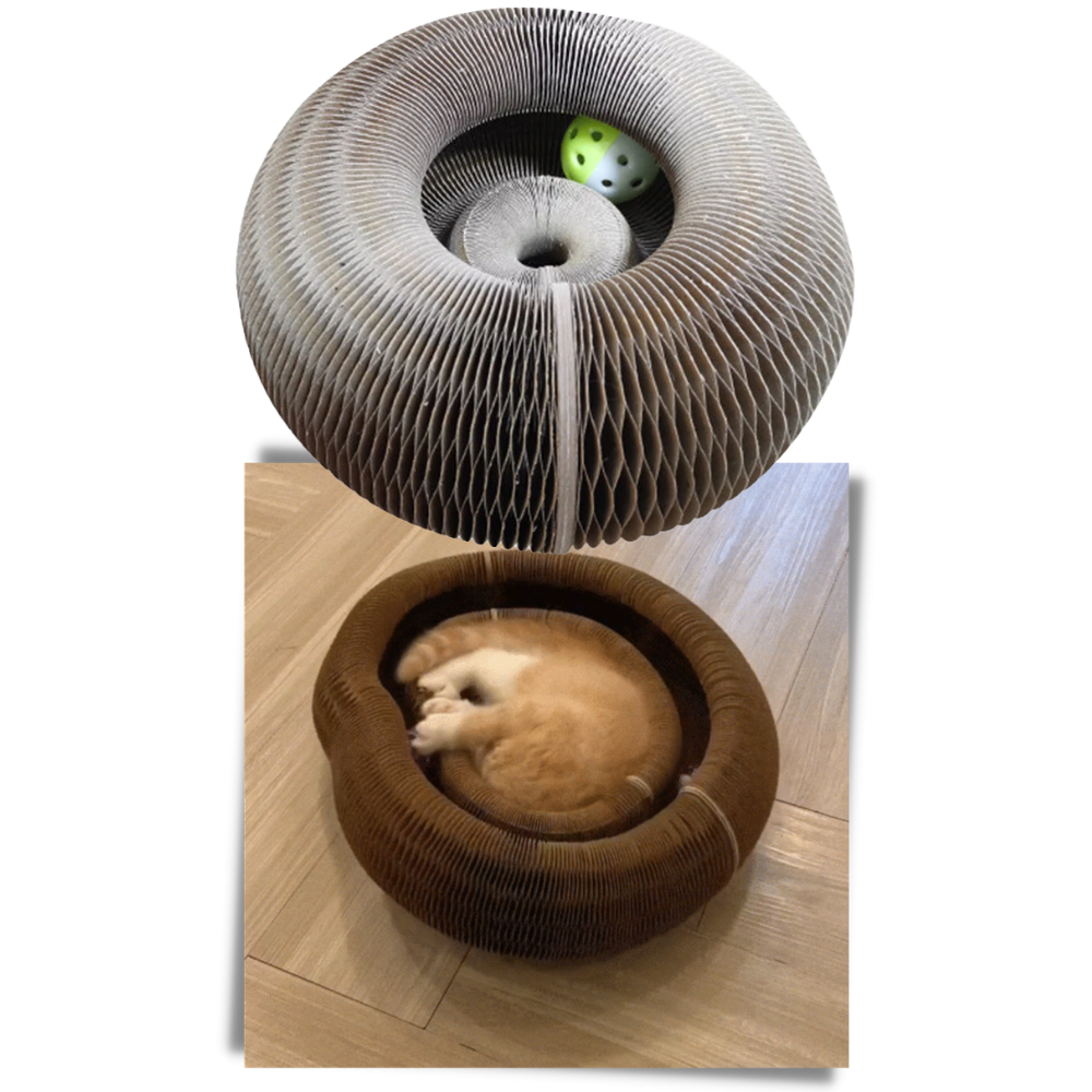 Tablero de rascado para gatos - Ozerty