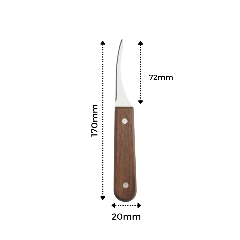 Cuchillo de acero inoxidable para pelar gambas - Ozerty