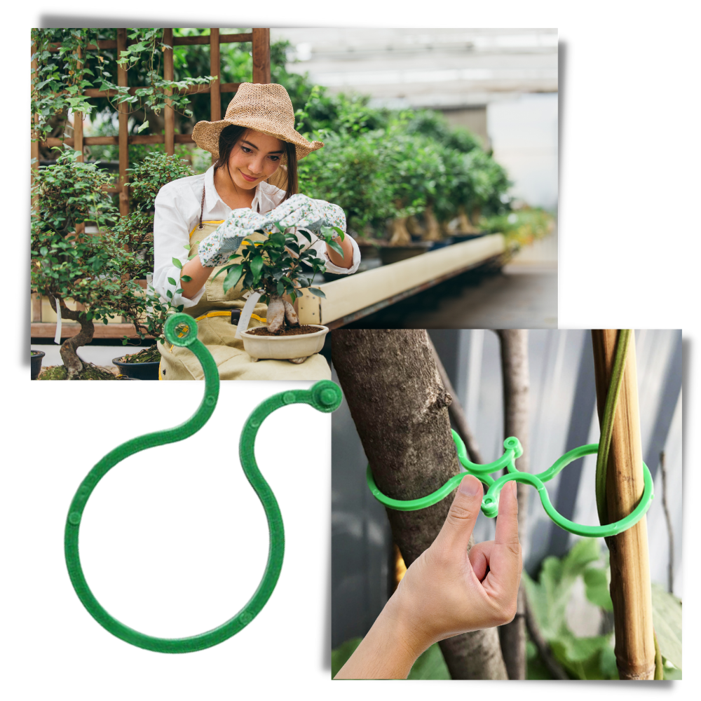 Paquete de pinzas para plantas de jardín - Ozerty