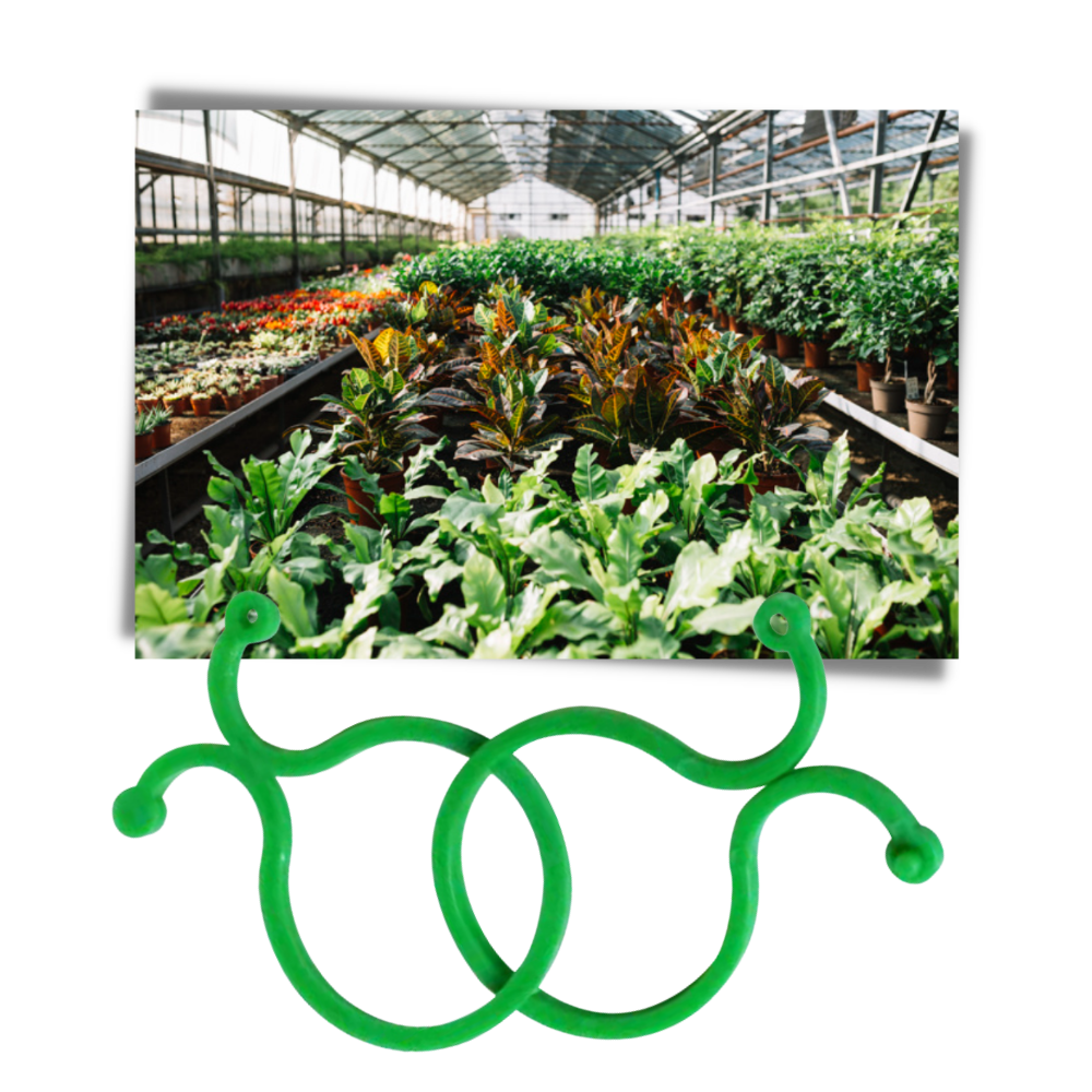 Paquete de pinzas para plantas de jardín - Ozerty