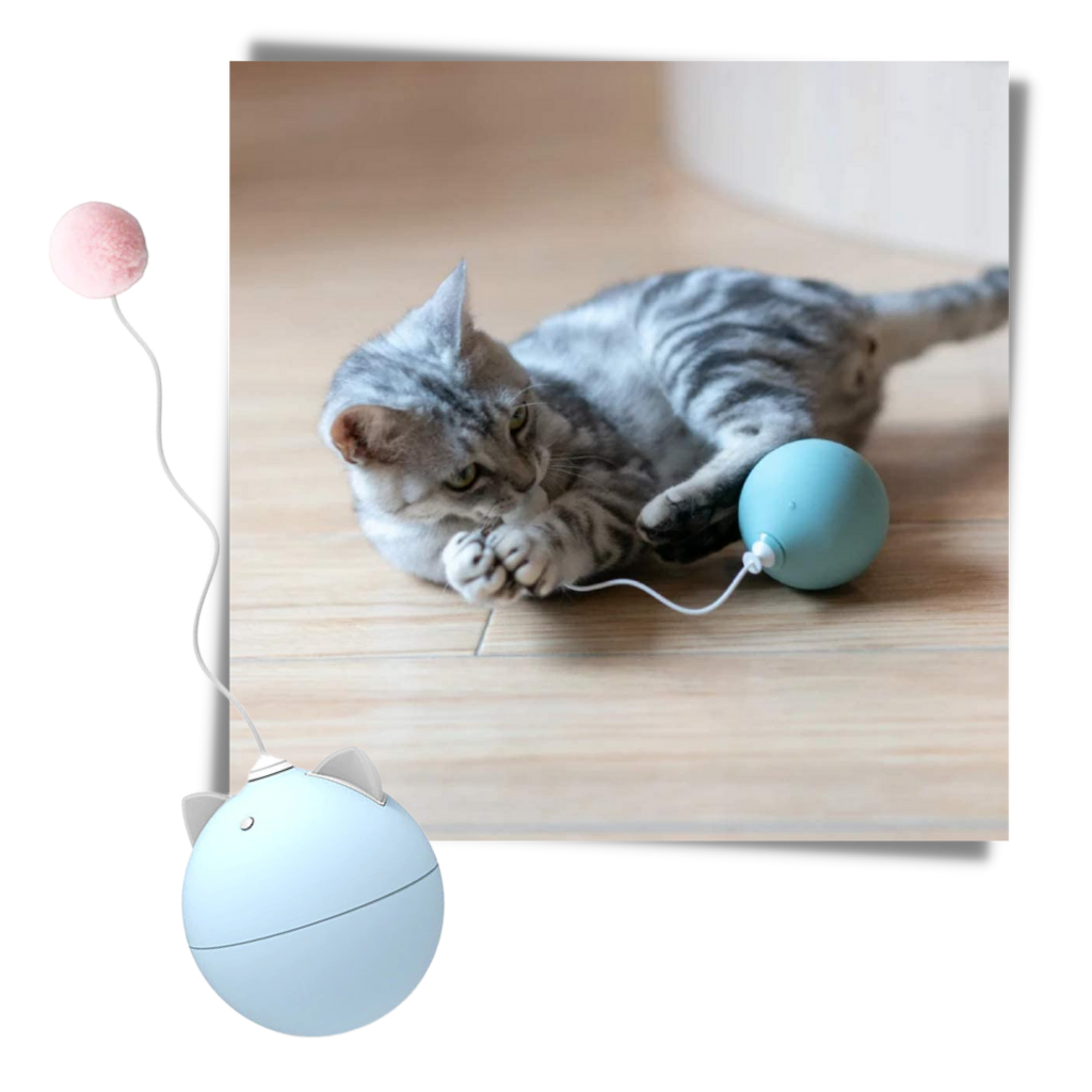 Pelota de juguete para gatos con función de giro automático - Ozerty