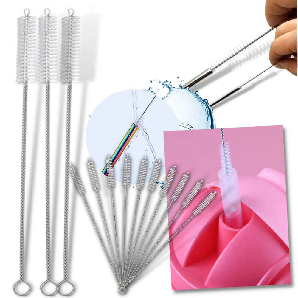 Paquete de 10 cepillos limpiadores de paja - Ozerty