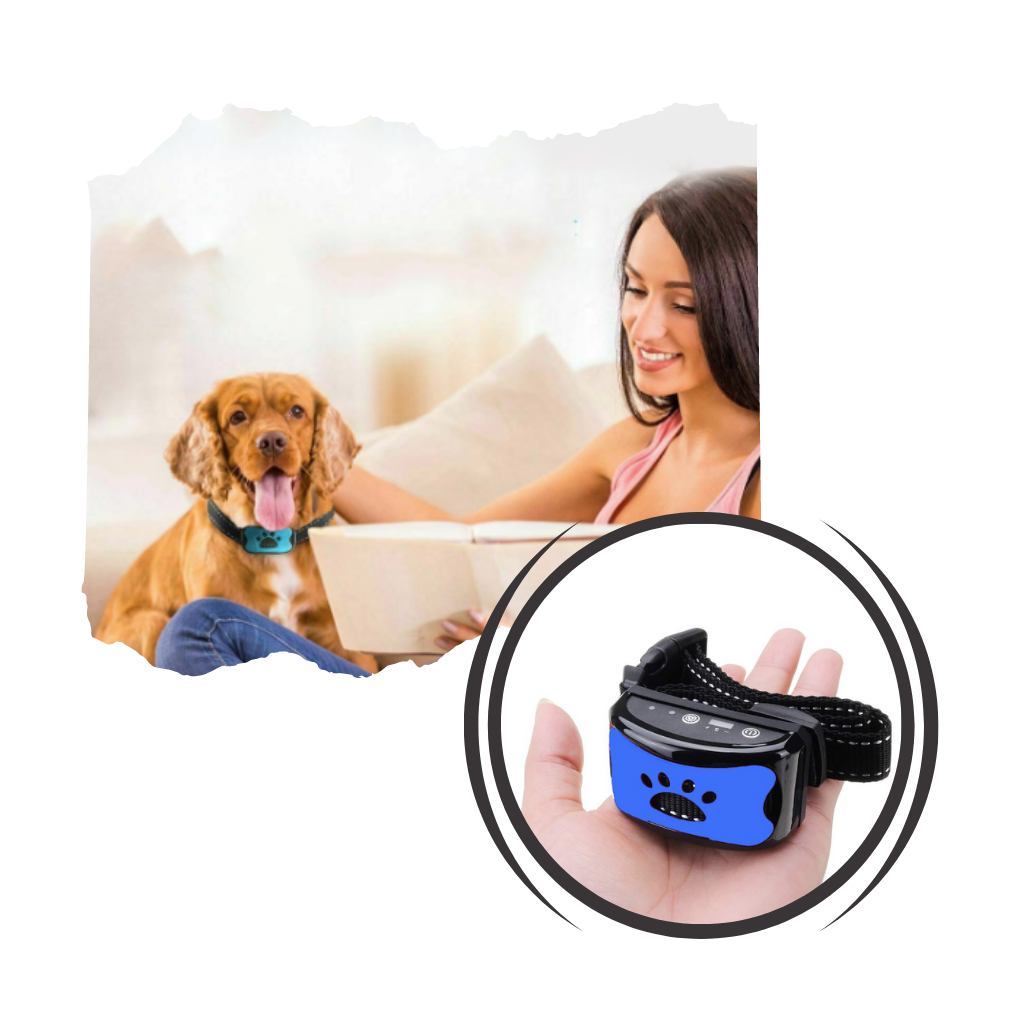 Collar anti ladridos ajustable para perros